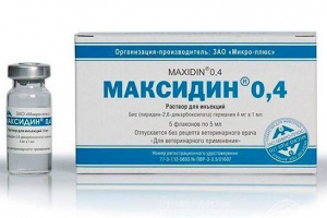 Jak zastosować maxdin dla kotów? Jak zastosować maxdin dla kotów?